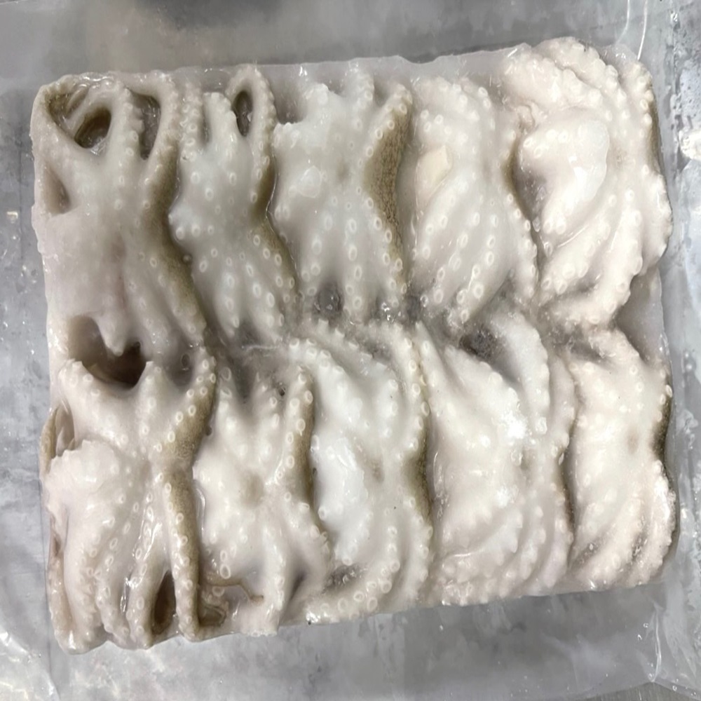 frozen whole cleaned baby octopus BQF